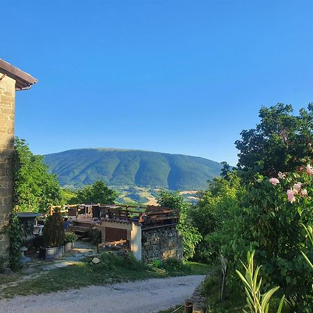 Le Ginestre Guesthouse Assisi Exterior photo