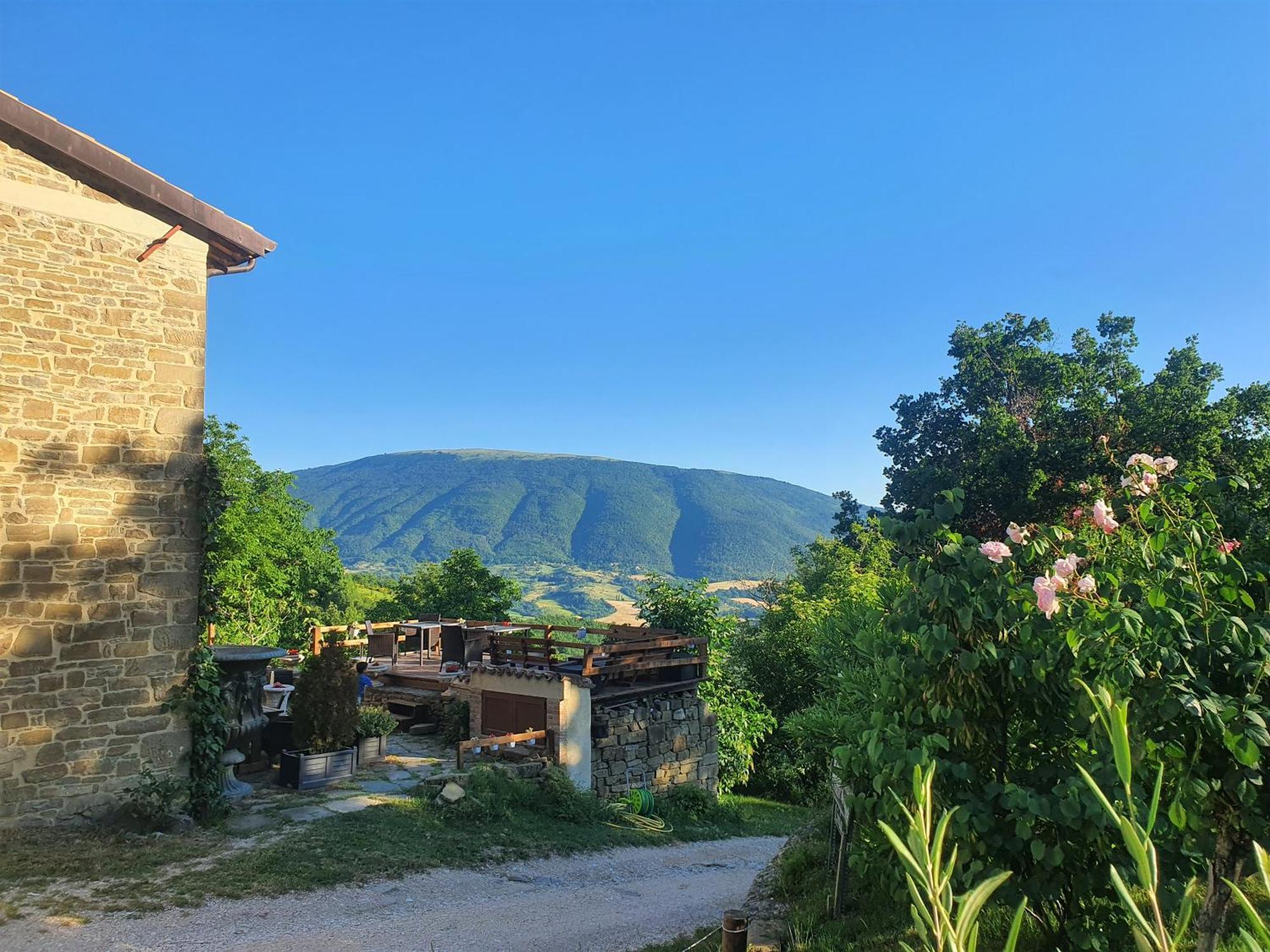 Le Ginestre Guesthouse Assisi Exterior photo